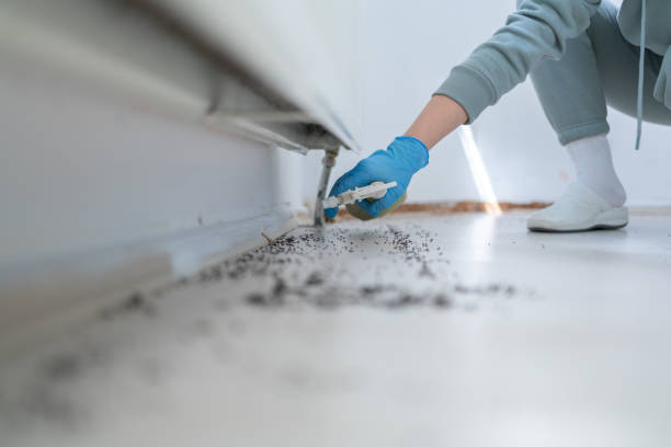Best Rodent Control Near Me  in Pennington, NJ