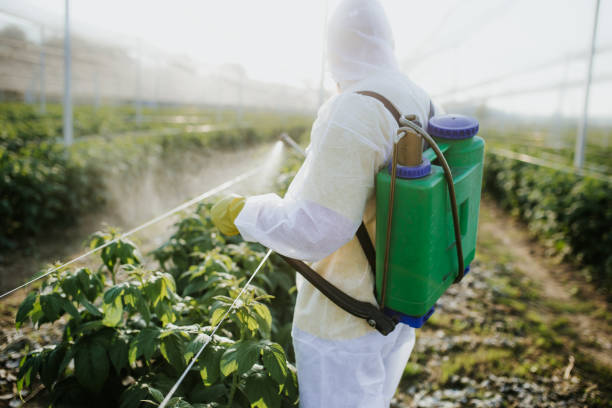 Professional Pest Control in Pennington, NJ